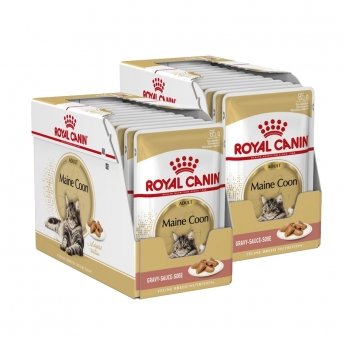 Royal Canin FBN Maine Coon 24x85g