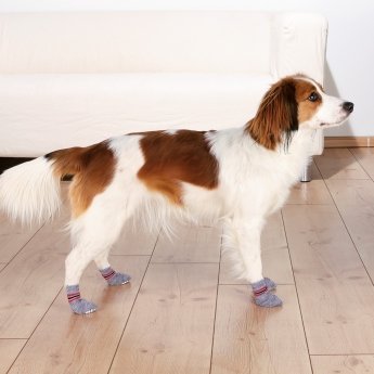 Trixie koiran sukat liukuesteellä, 2kpl