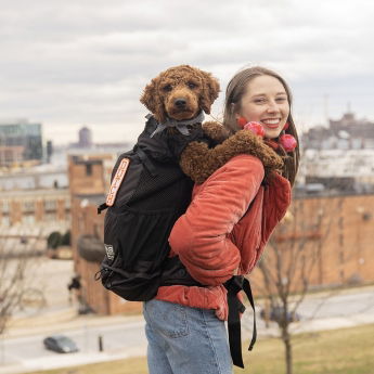 K9 Sport Sack Air 2 -koiran kantoreppu, musta