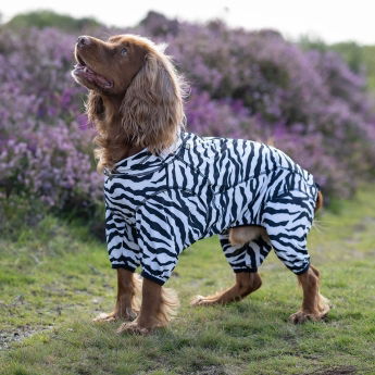 Rukka Zebra haalari