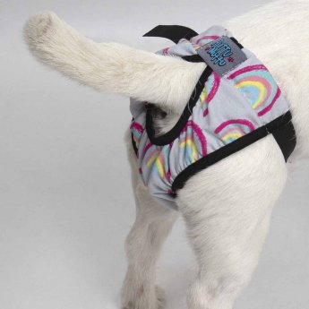 RuttuNuttu-juoksuhousut kuminauhalla sateenkaari