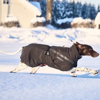 Non-Stop Trekking koiran talvitakki, musta