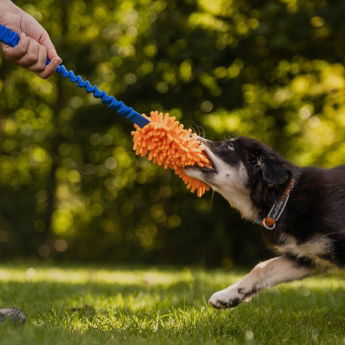 Loype Mopster -vetolelu