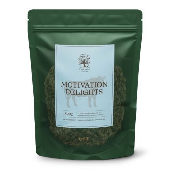 ESSENTIAL Motivation Delights 500g