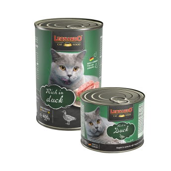 Leonardo Rich in ankka