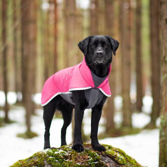 SporttiPomppa, pinkki