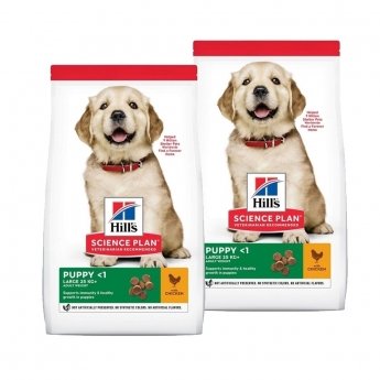 Hill&#39;s Science Plan Puppy Large Breed Chicken 2x14,5 kg