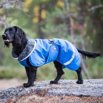 ToppaPomppa-koiran takki, Sininen
