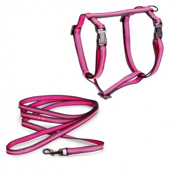 Kissan valjassetti Basic Reflective, pinkki