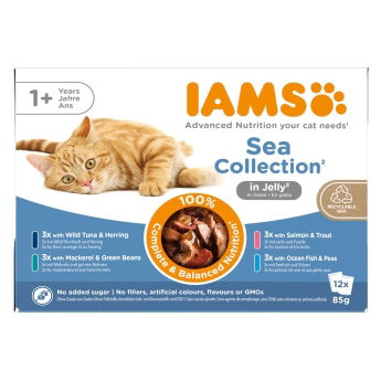 IAMS Delights Jelly Kalalajitelma 12 x 85 g