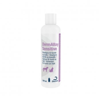 DermAlley Sensitive shampoo