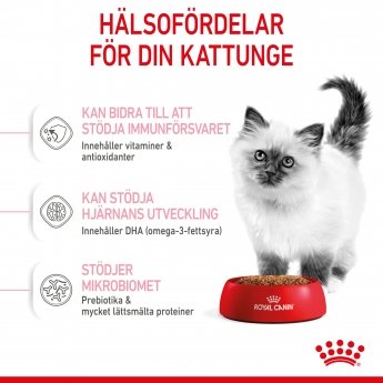 Royal Canin Kitten