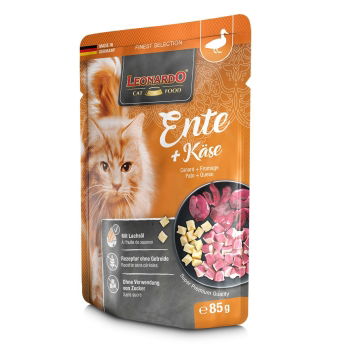 Leonardo ankka & juusto