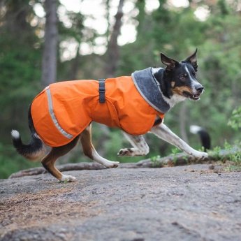 KevytPomppa koiran takki, oranssi