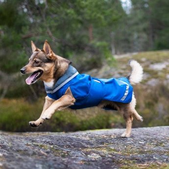 SadePomppa koiran takki, sininen