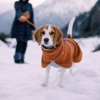 Woolly Wolf Alpha 360 Koiran fleecepusakka, Terracotta Mix