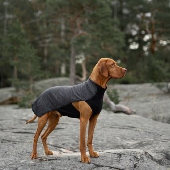 Koiran paita Feel Active Oslo harmaa