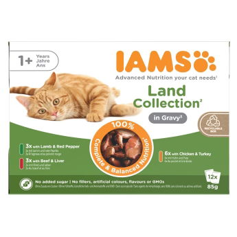 IAMS Delights Gravy Lihalajitelma 12 x 85 g