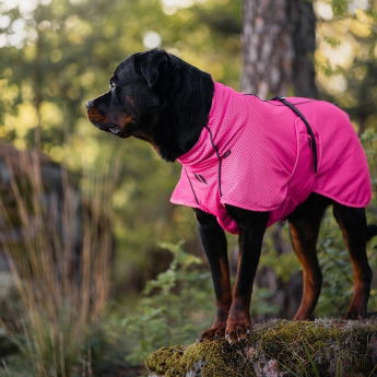 Back on Track verkkoloimi Limited Edition, Hot Pink