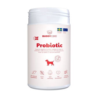 BuddyCare Probiotic 150 g