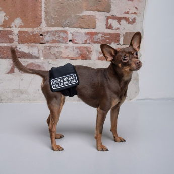 RuttuNuttu urosvyö, Balls