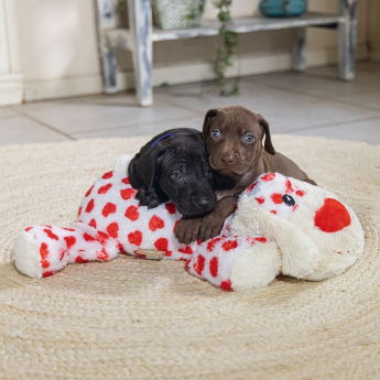 Beeztees Cuddle Toy Suki XL