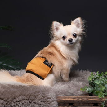 RuttuNuttu urosvyö, Amber Leaf