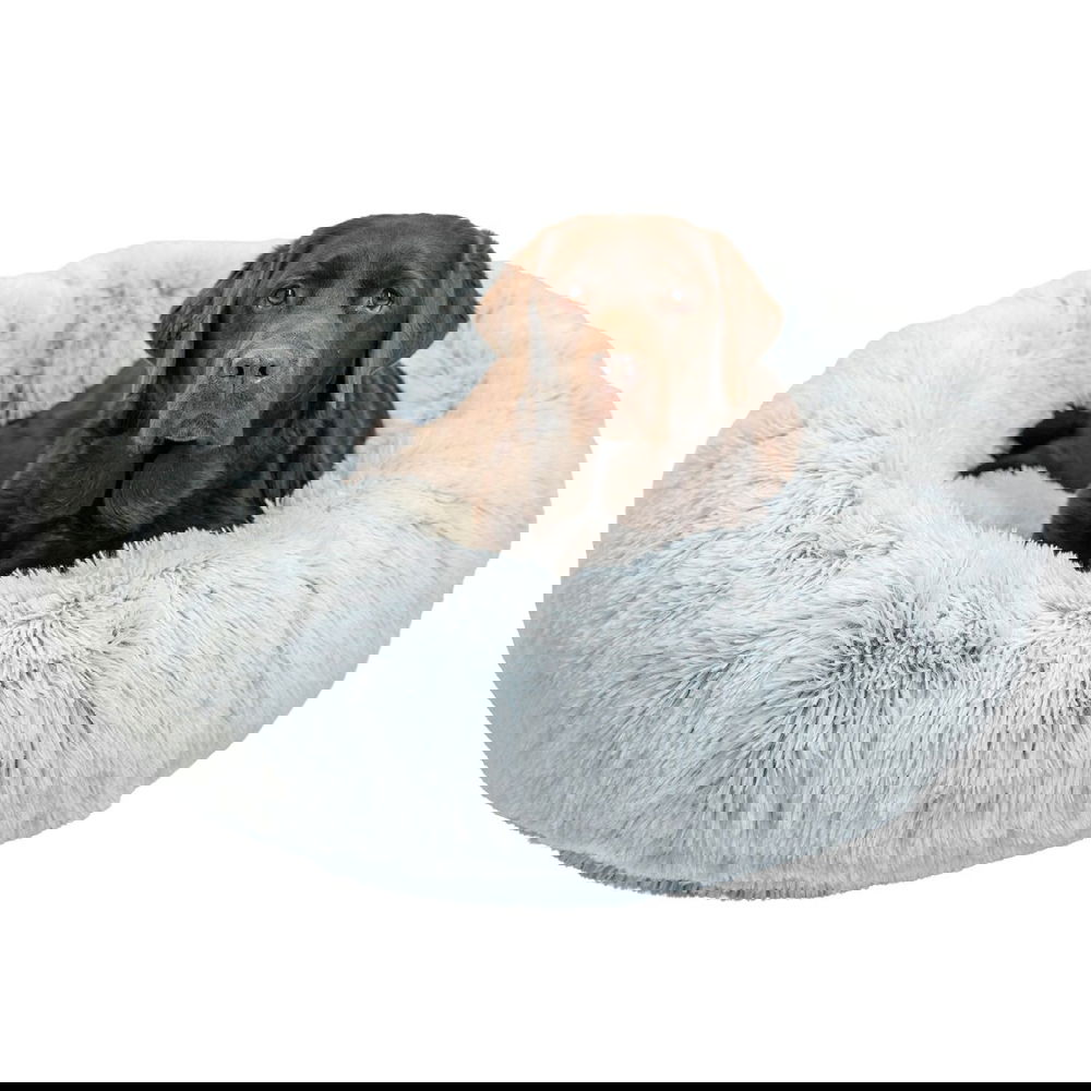 Koiran pörröpeti Best Friends by Sheri,huurre (L)