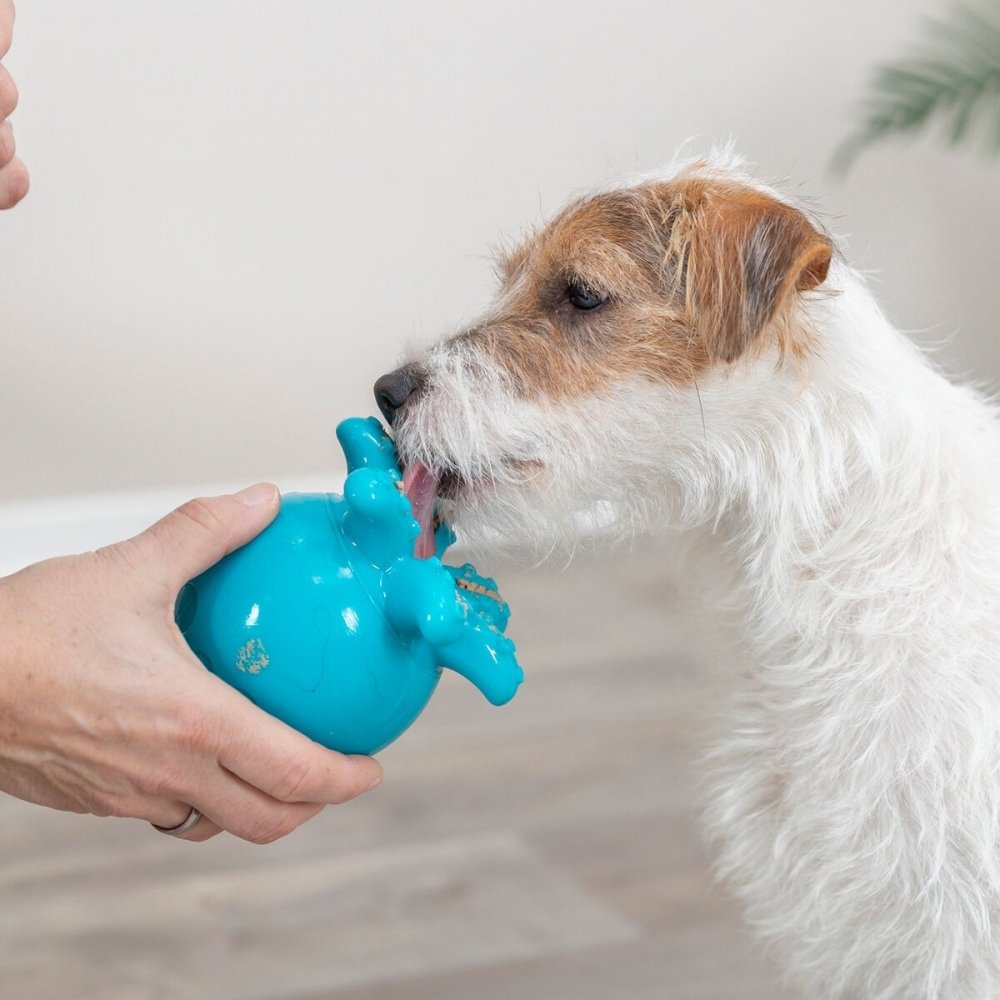 Aktivointilelu koiralle TR Snack-Octopus 11 cm