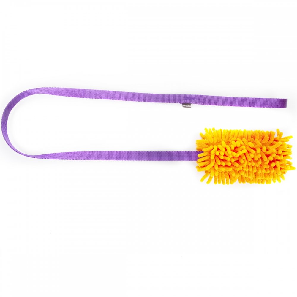 Pro Dog Mop Chaser lelu