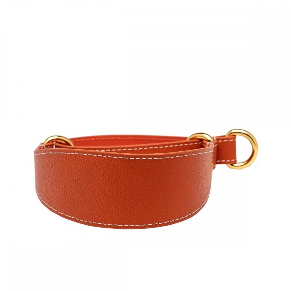 Koiran puolikiristävä panta Collar of Sweden, konjakki (XS)