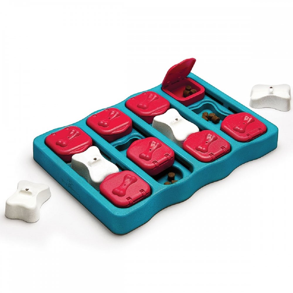 Aktivointilelu Dog Brick, sininen