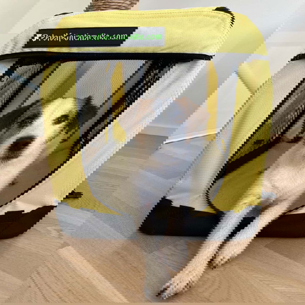 Kevythäkki PetEasy aurinko (S)