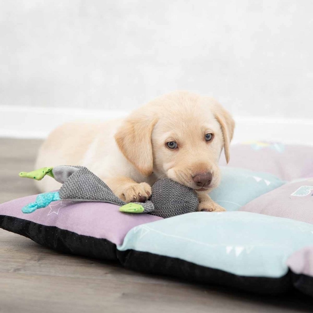 Pehmolelu Trixie Junior Nalle Crincle