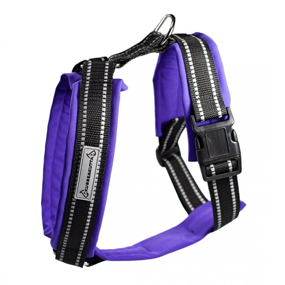 Kusse&Kutta-koiran valjaat softshell-pehmusteella, violetti (7)