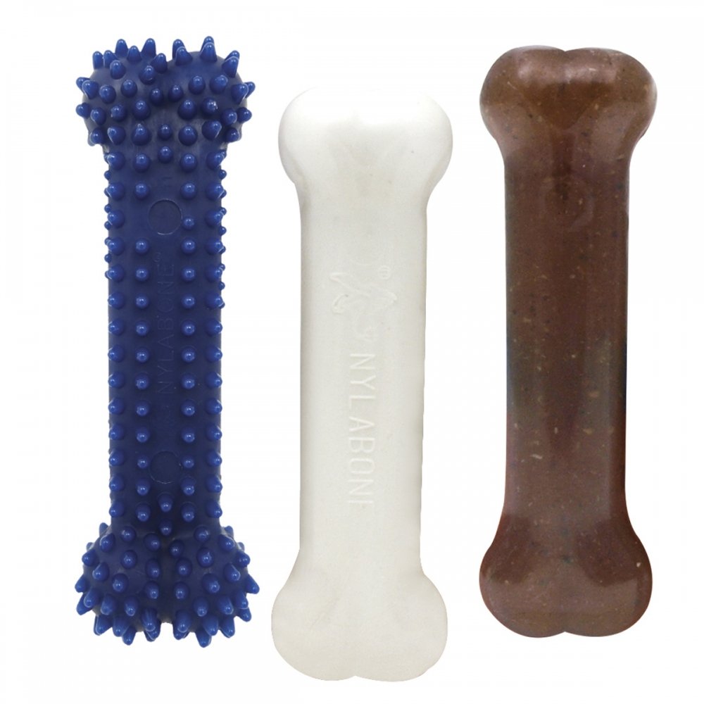 Nylabone Puppy aloituspakkaus S
