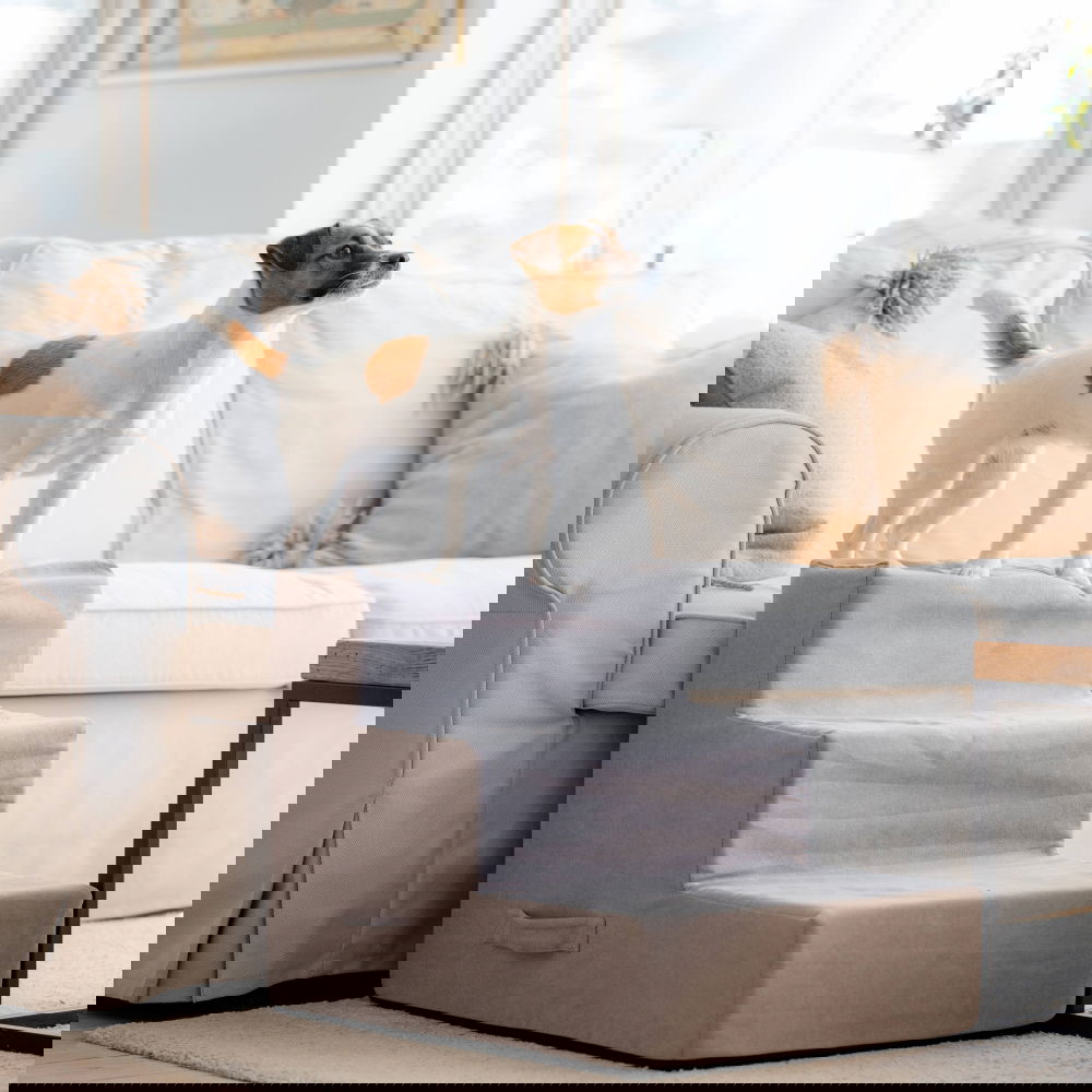 Koiran portaat Basic Home