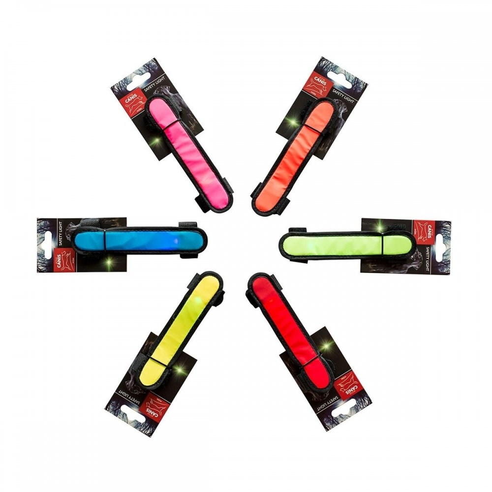 Active Canis Hihnavalo tarralla 2,5 x 18 cm (Sininen)