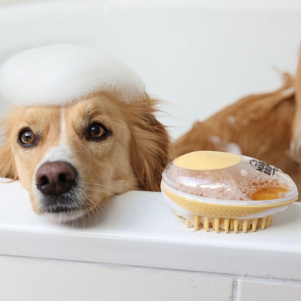 MagicBrush koiran pesuharja