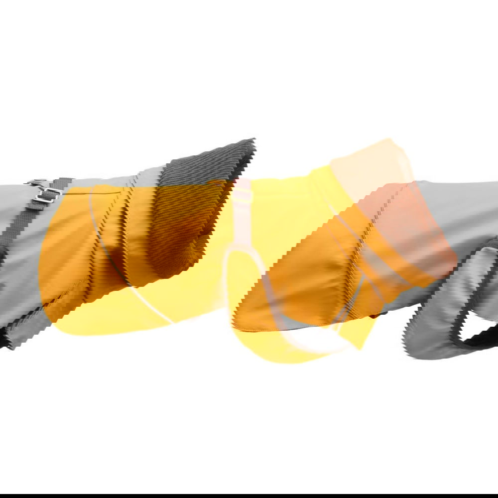 Basic Premium Aiko -sadetakki koiralle (35)