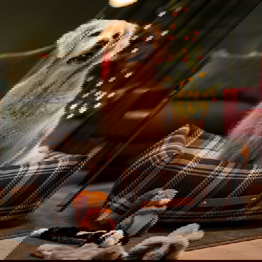 Basic Premium Swift koiranpeti tummanharmaa tartan (85x70 cm)