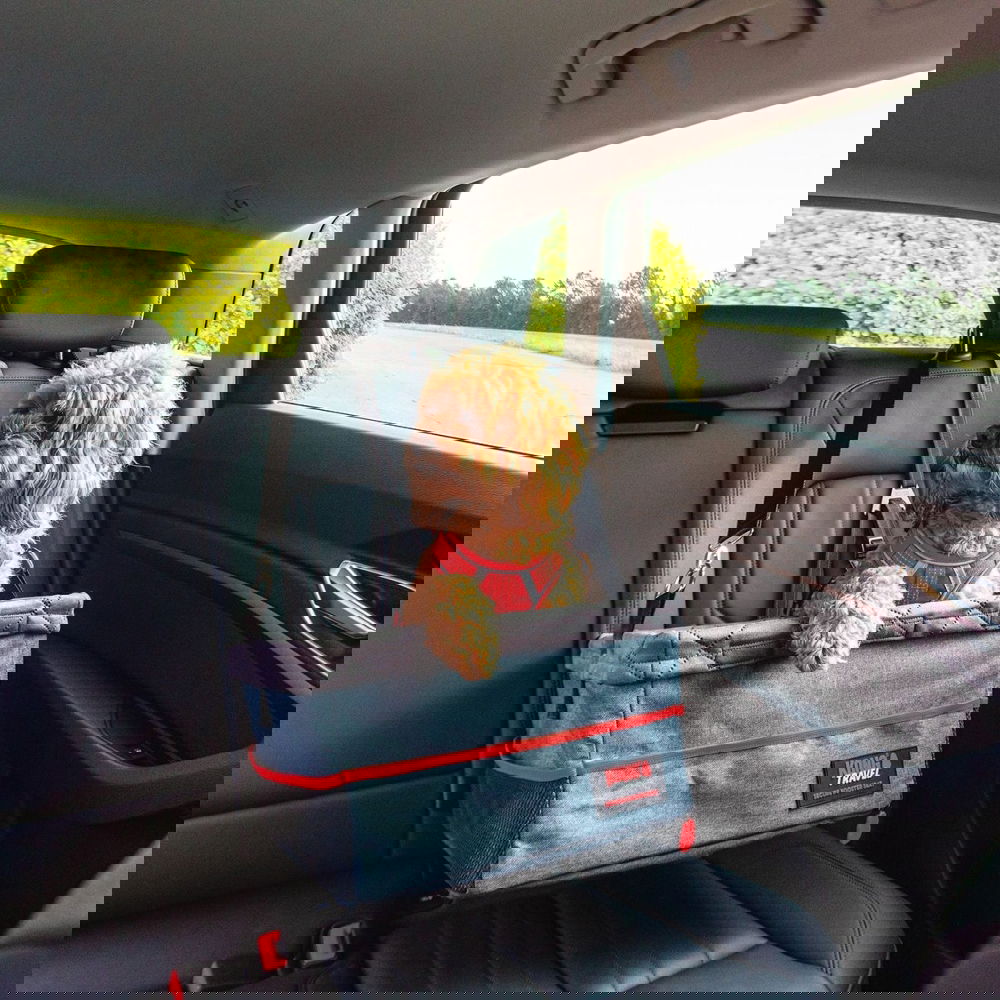 Koiran korotettu autoistuin KONG Ultimate