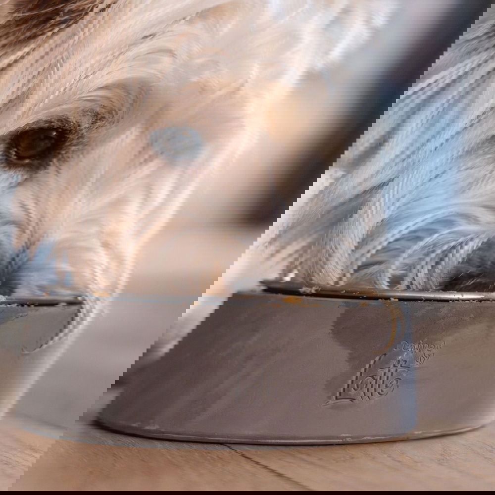 Designed by Lotte betonikuppi Ribocco (350 ml)