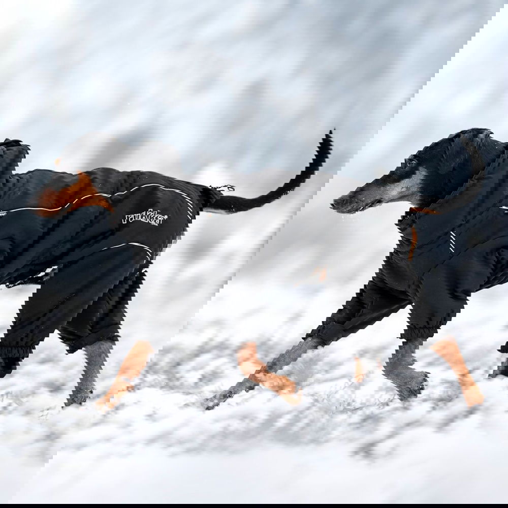 Koiran talvihaalari Rukka Thermal 2.0, musta (35)