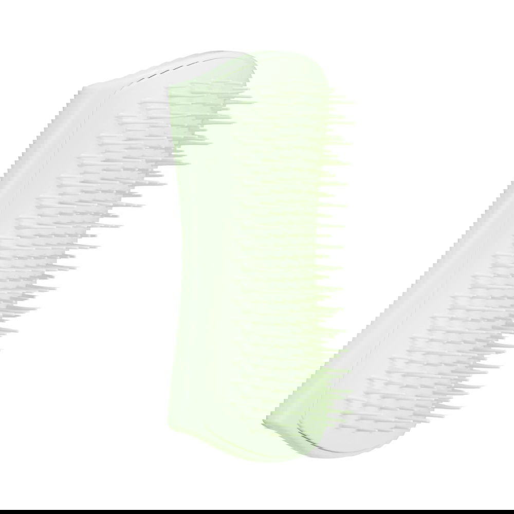 Pet Teezer harja pennulle