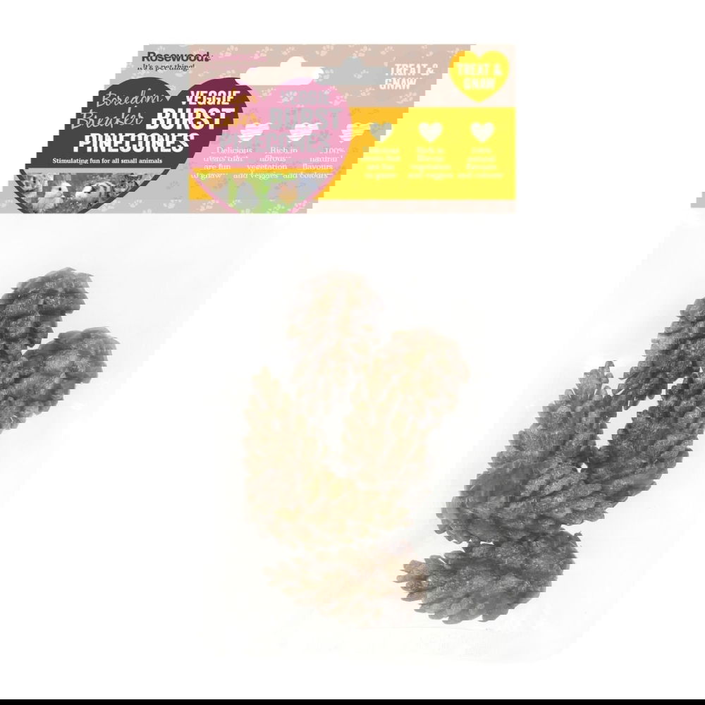 Rosewood Veggied burst pinecones 6 kpl