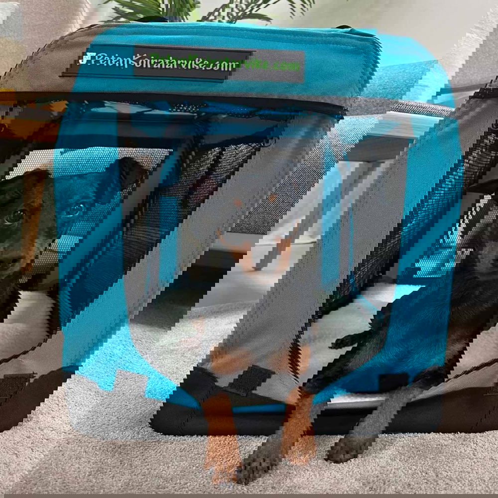 Kevythäkki koiralle PetEasy, sininen (S)