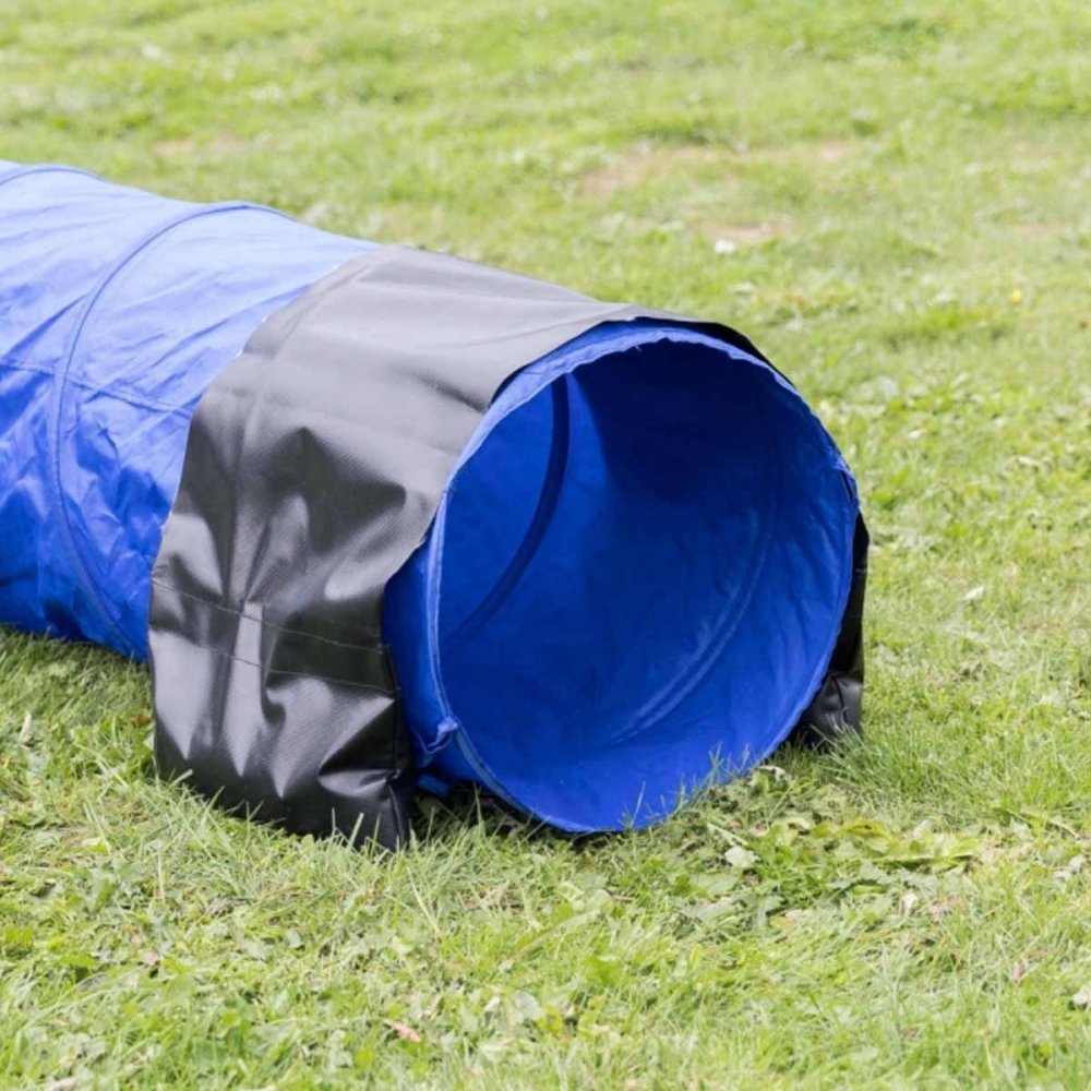 Agility painopussit tunneliin Trixie