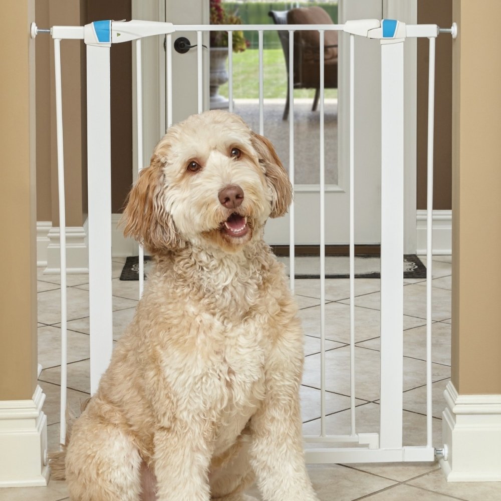 Koiraportti Midwest Glow, valkoinen (99 x 73-96 cm)