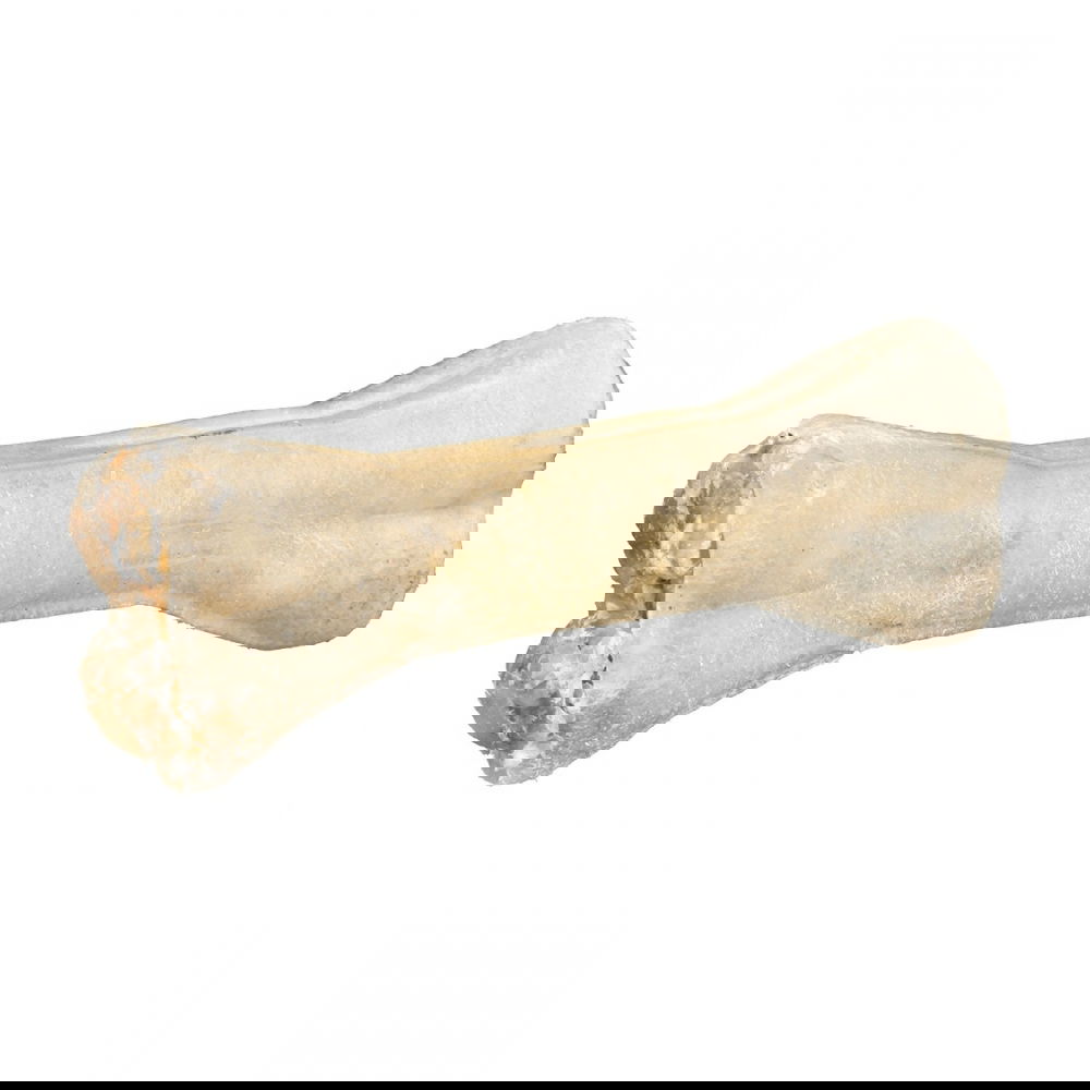 Koiran puruluu lammastäytteellä Trixie (13 cm)